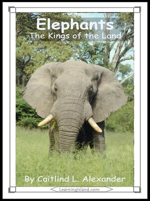 cover image of Elephants